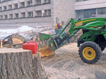 architektura zieleni zima